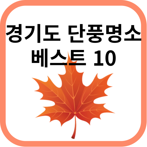 단풍잎