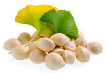 은행 열매 가격 및 효능, 영양성분과 부작용