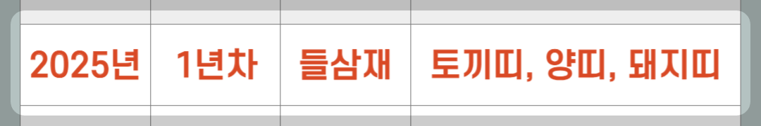 2025년 삼재띠