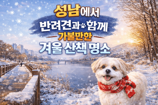 성남 반려견 겨울 산책 명소 BEST 5, 강아지와 걷기 좋은 실제 코스