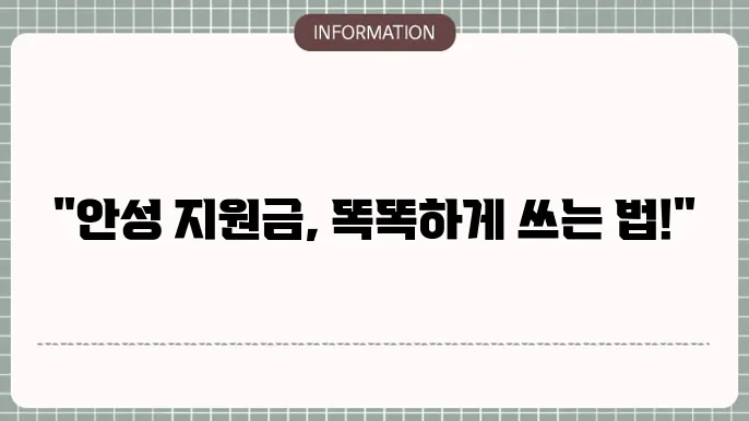 안성 재난지원금: 지원금 활용 정보