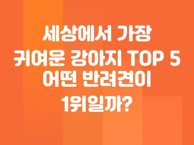 세상에서 가장 귀여운 강아지 TOP 5! 어떤 반려견이 1위일까?