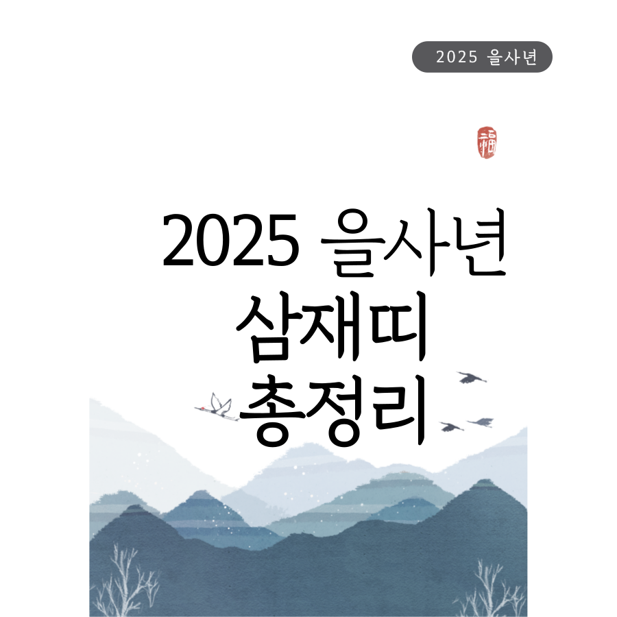 을사년삼재띠