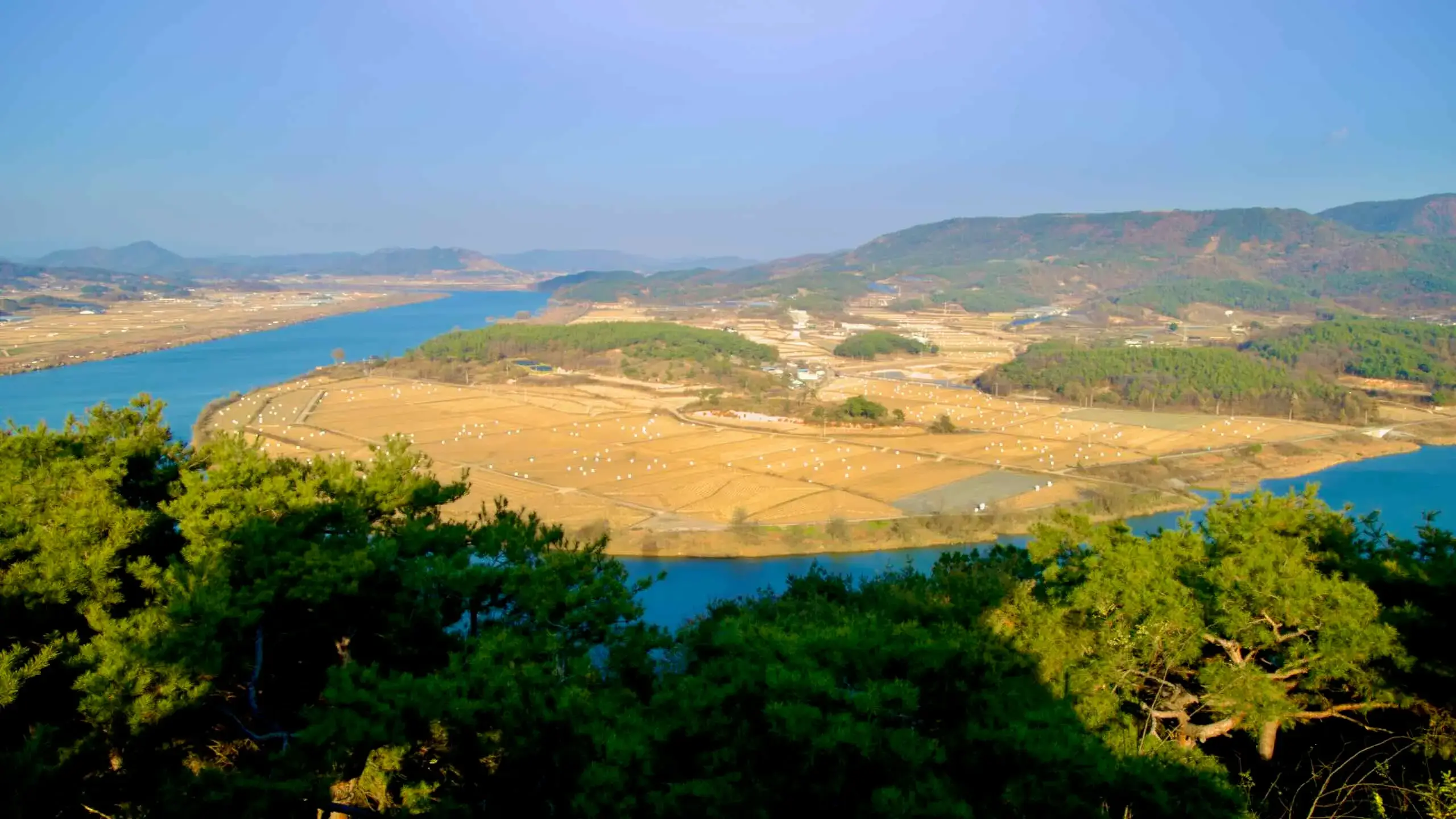 상주 경천섬 낙동강 풍경에서 읽어내는 강과 섬이 만든 느린 공간의 질서