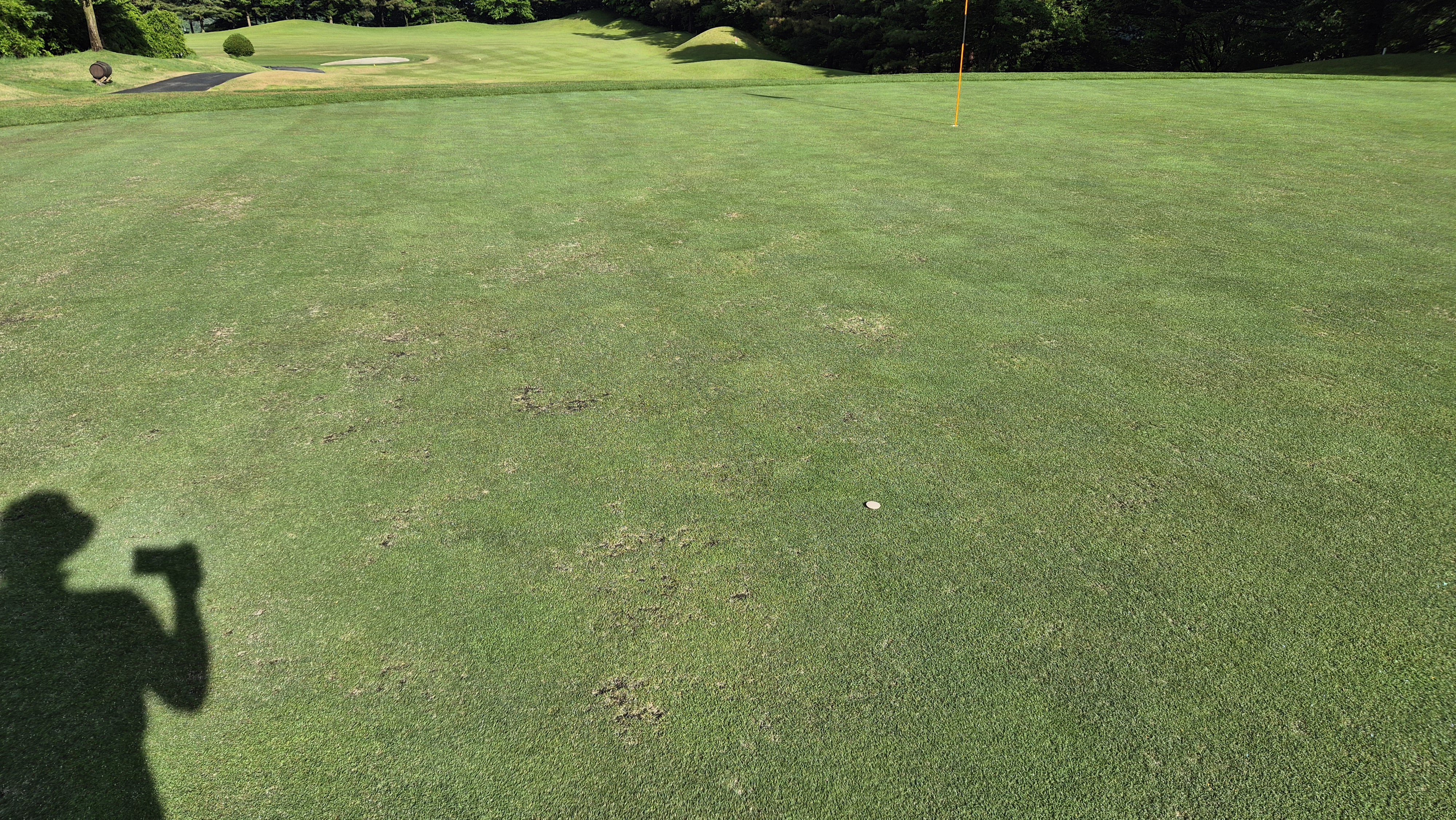 파크밸리gc 라운드 후기