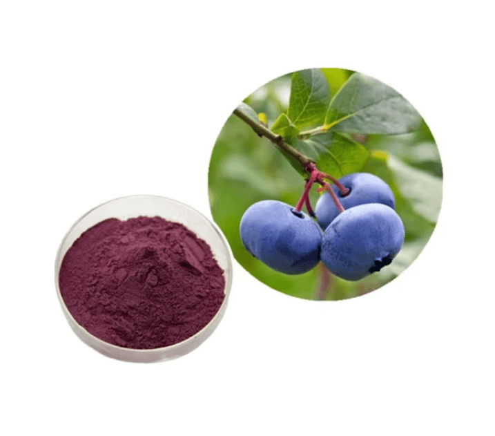 빌베리-추출물-사진