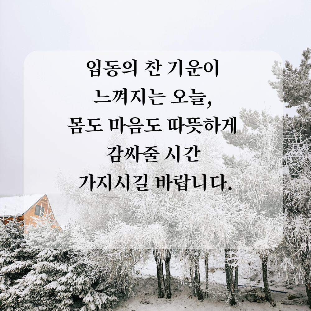 11월 인사말 입동 인사 이미지 문구 사진 그림 모음집