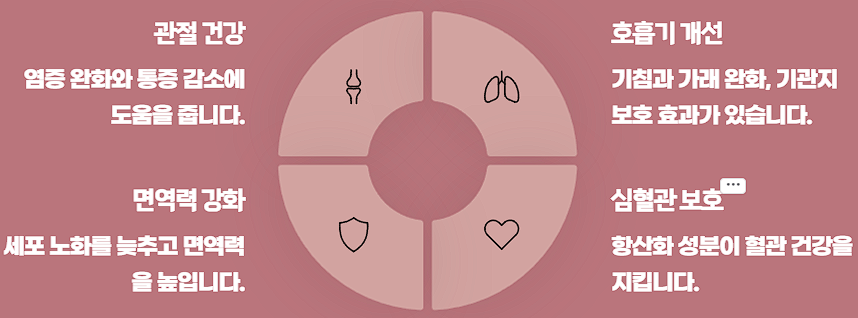 마가목 효능 부작용 열매 먹는법