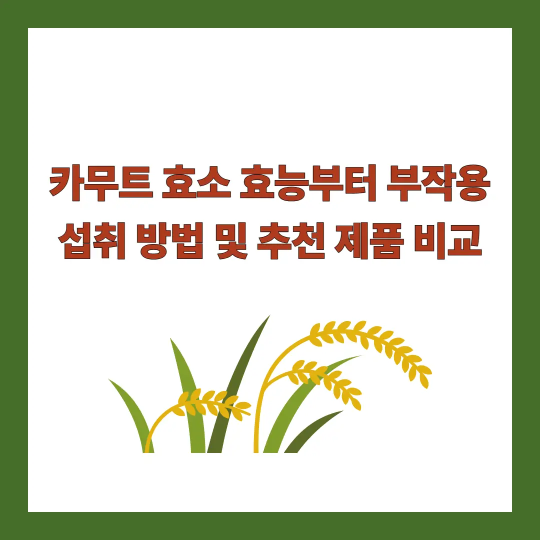 카무트-효소