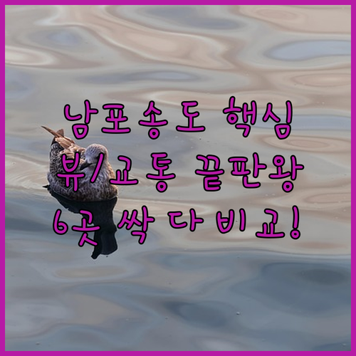 부산 남포동 송도 숙소 6곳 오션뷰 ..