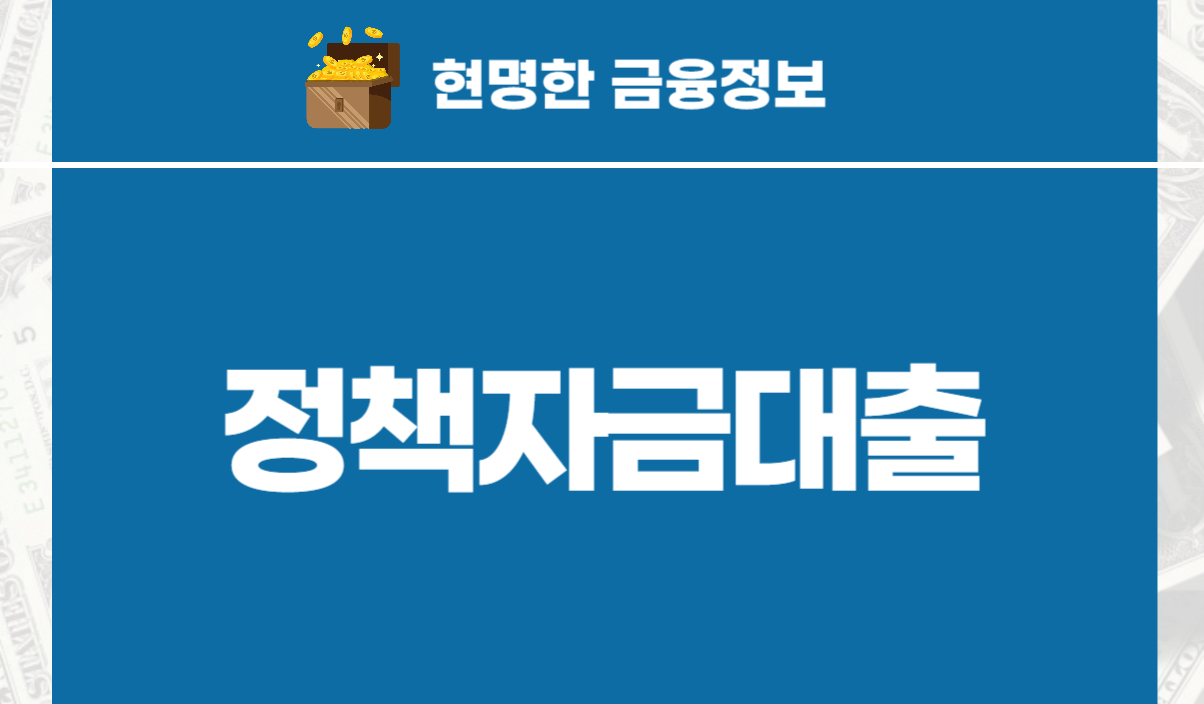 정책자금대출