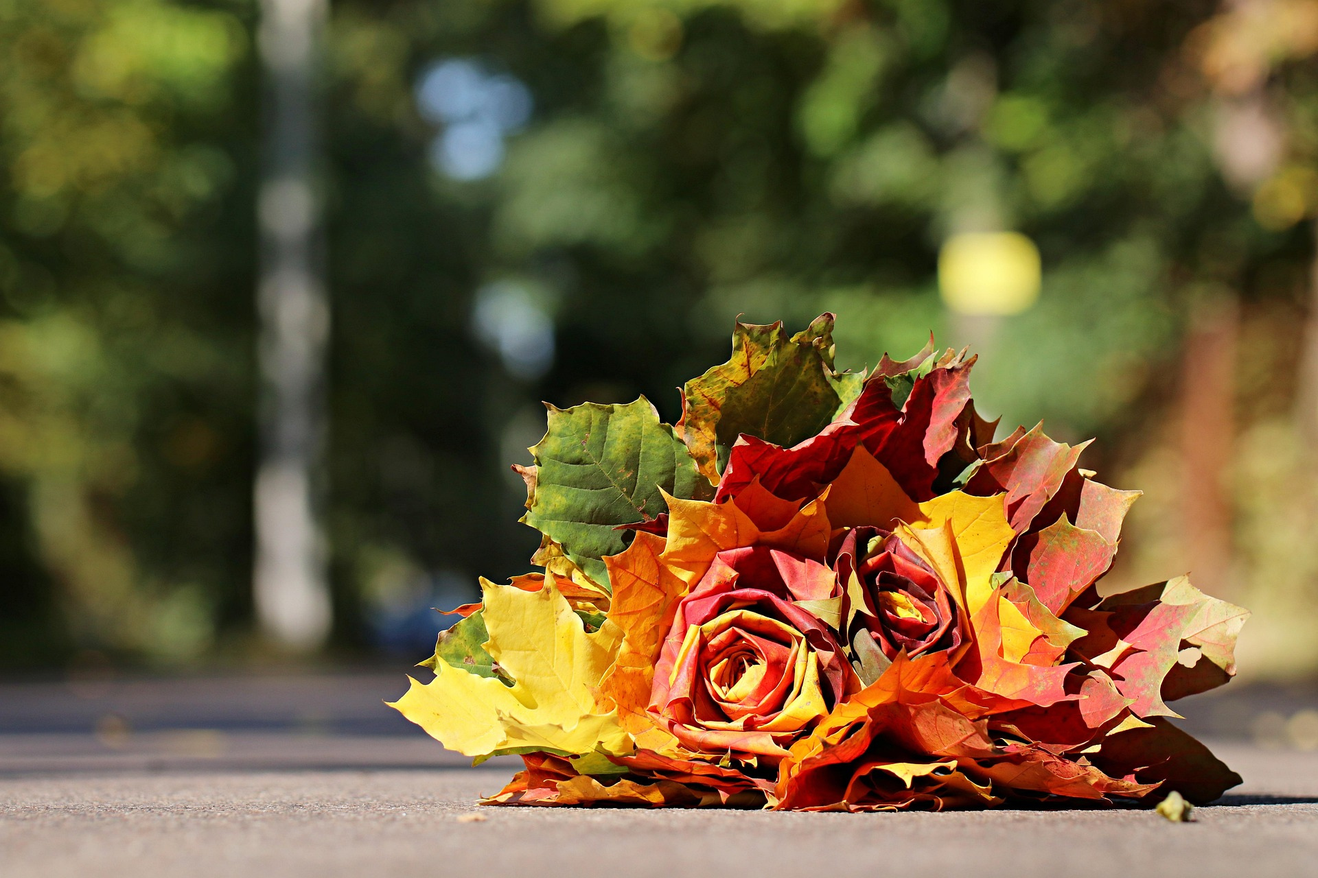 춘천 단풍 명소 BEST 7 관련 사진