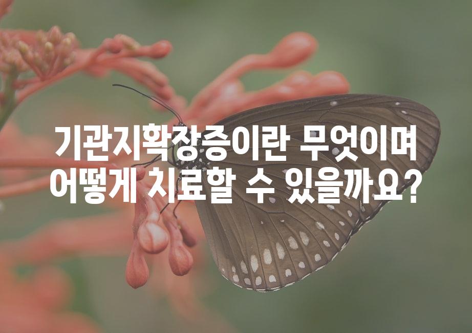 샘플 (51)