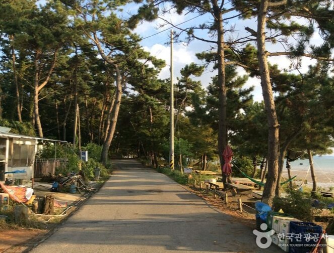 무안 가볼만한곳 베스트 10