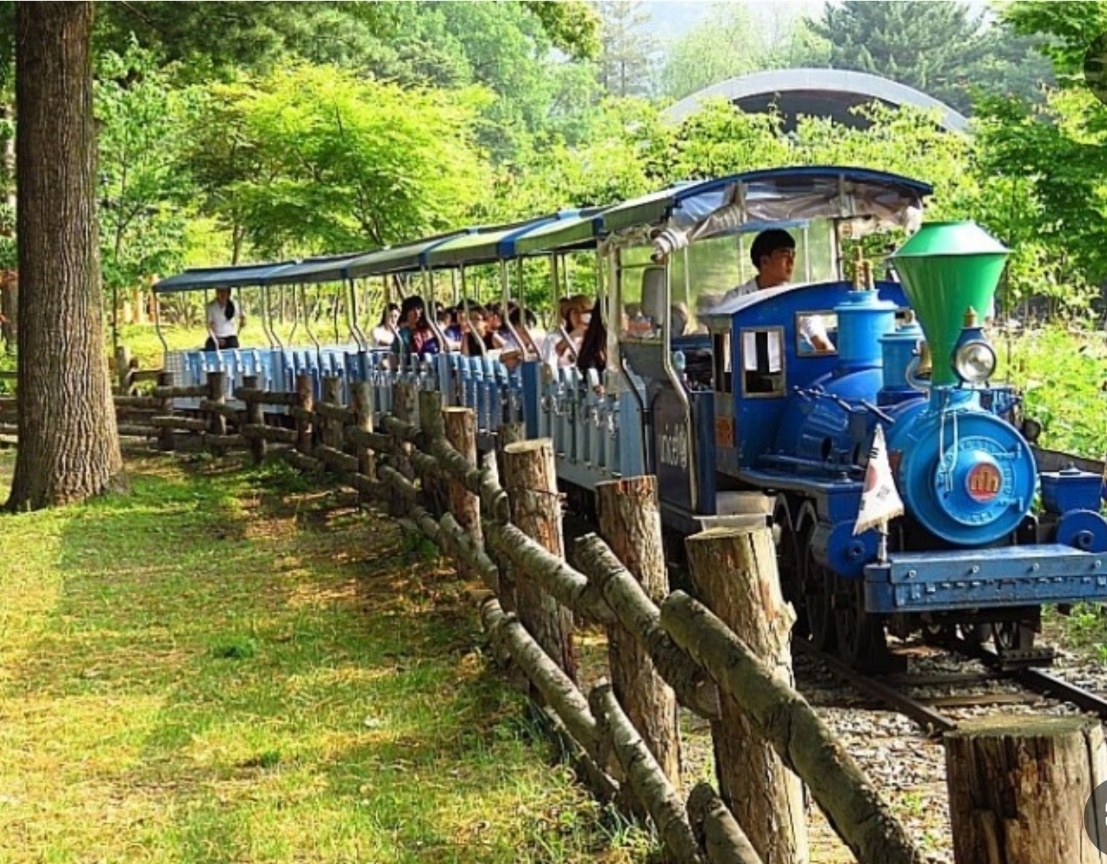 남이섬 나눔열차 이미지