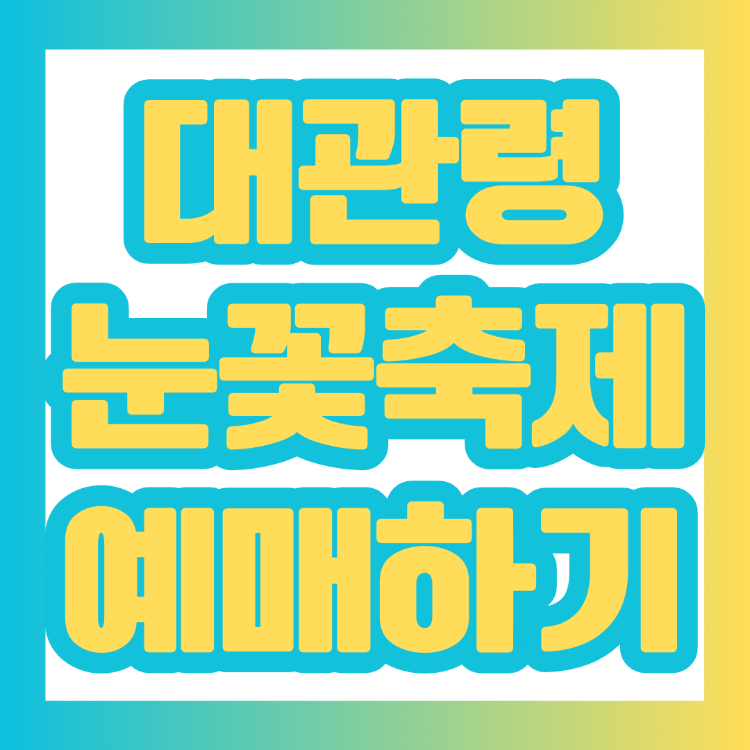 대관령눈꽃축제를 설명하는 포스팅의 대표 이미지.