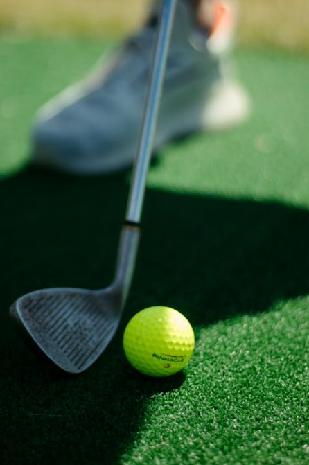 프리미엄 골프장 혜택 비교 총정리 (2025년 최신)