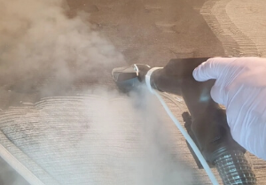 빈대 셀프 방역 방법의 장점&amp;#44; 단점&amp;#44; 주의 사항