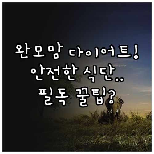 모유수유 중 건강한 다이어트 방법과 ..