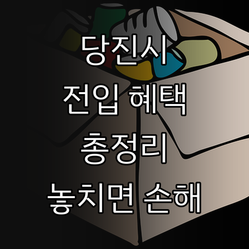 2025 당진시 전입 혜택 총정리: ..