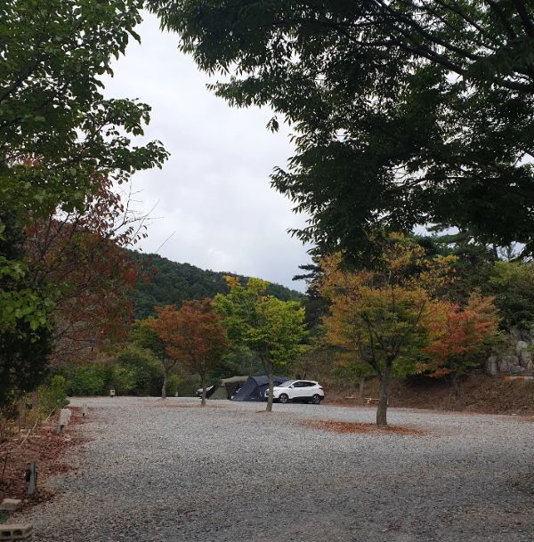 별바라기_일반사이트