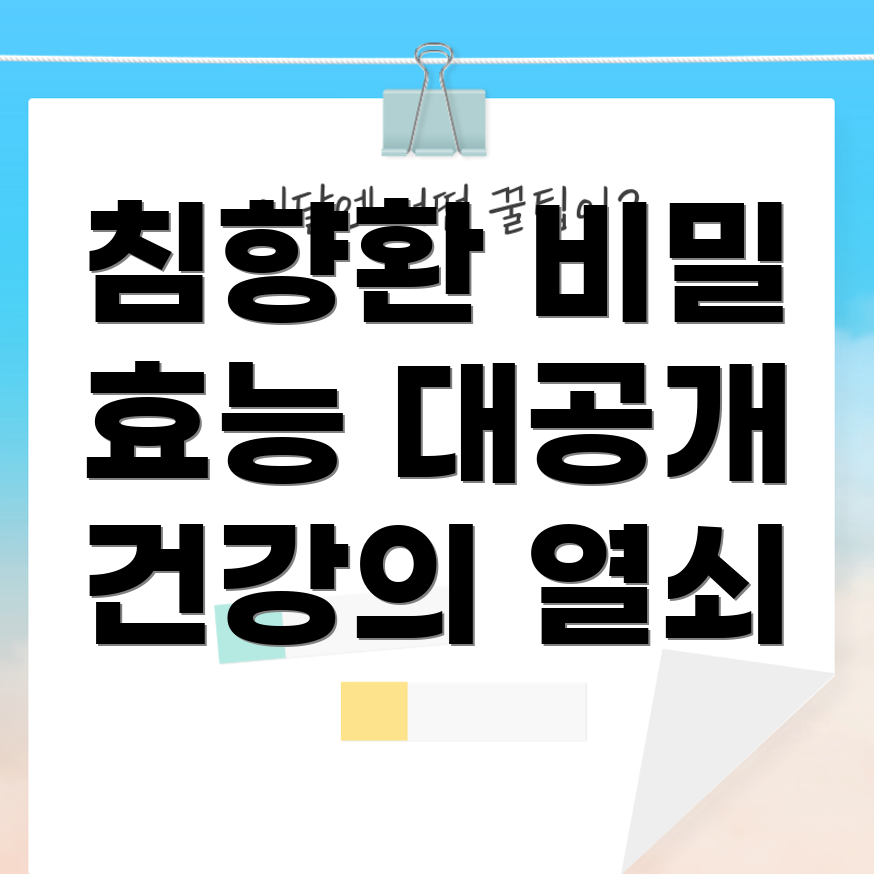 침향환
