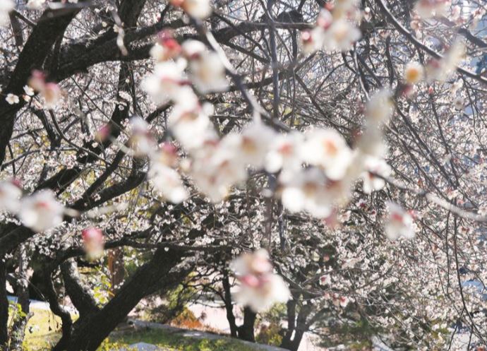 수영사적공원