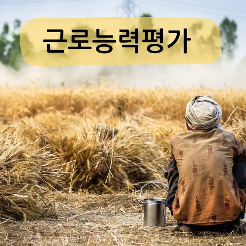 근로능력평가 진단서 발급