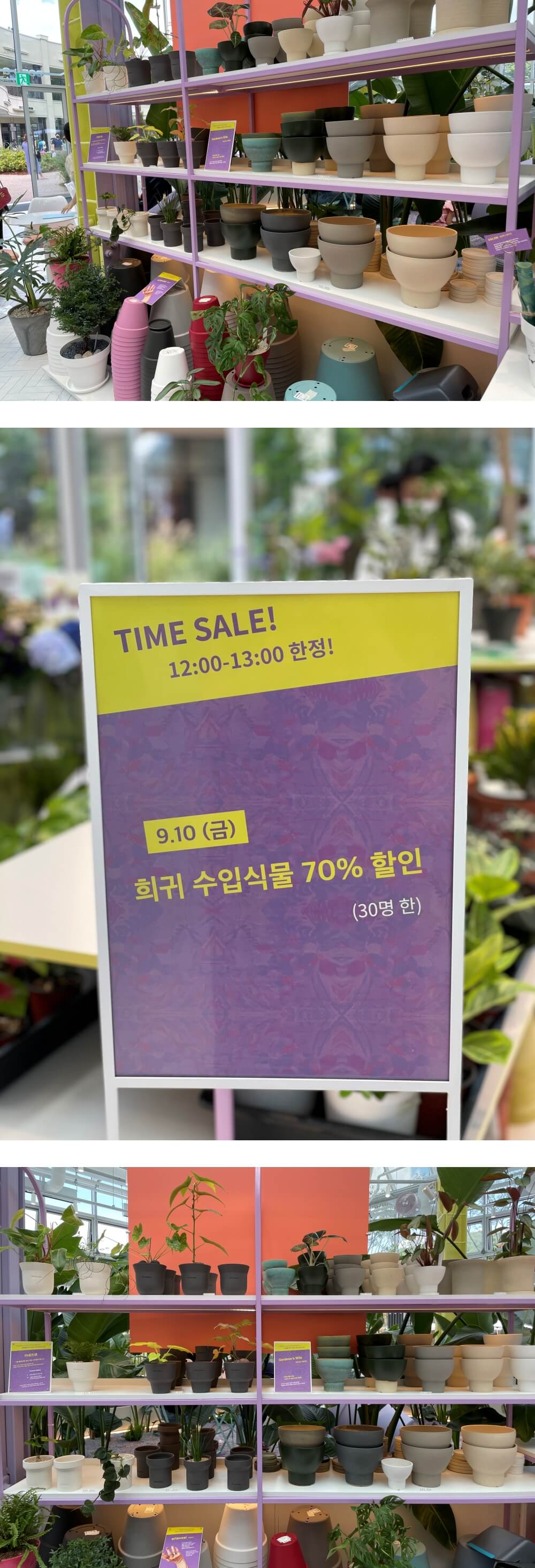 의왕-롯데-타임빌라스-카페-웁스어데이지-식물-전경