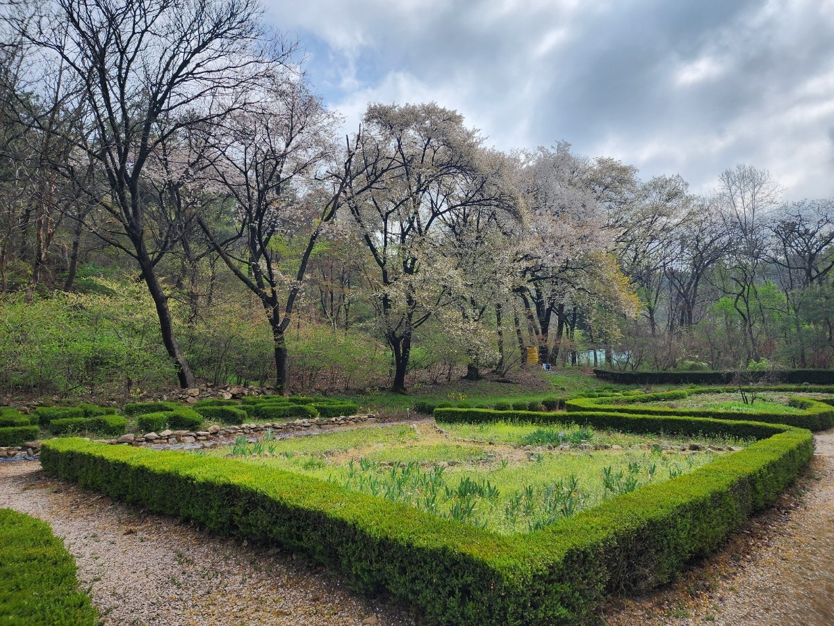 안양 수목원 이미지 사진