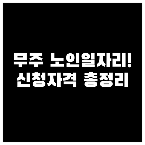 무주군 노인일자리 신청 자격과 시니어..