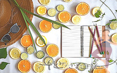 비맥스 메타 가격