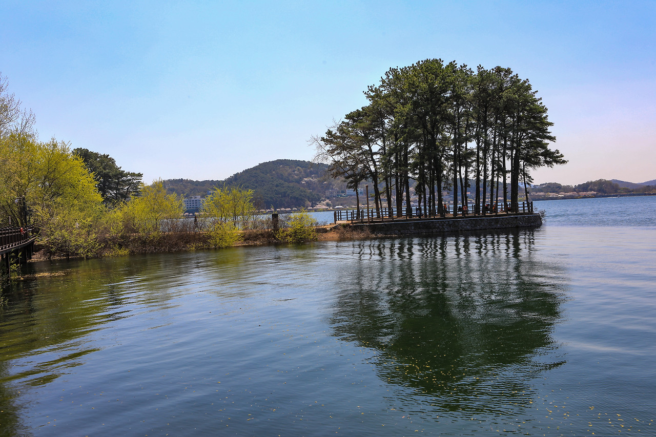 논산 아파트 단지별 상세 분석 — 실제 거주 기준으로 본 논산 아파트 선택 가이드