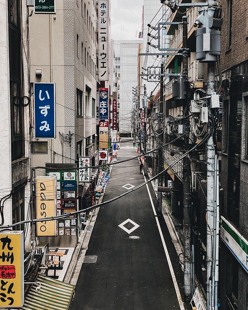 상점들거리