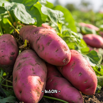 수능 아침에 좋은 음식