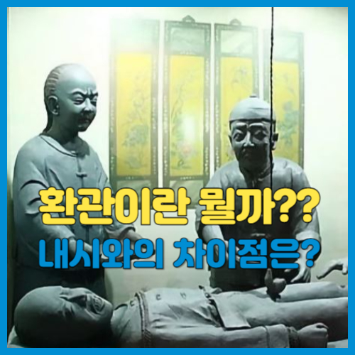 환관 뜻 환관 내시 차이점