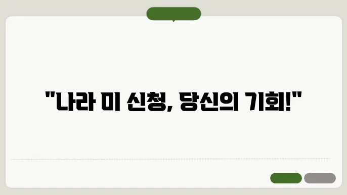 나라 미 신청 비용