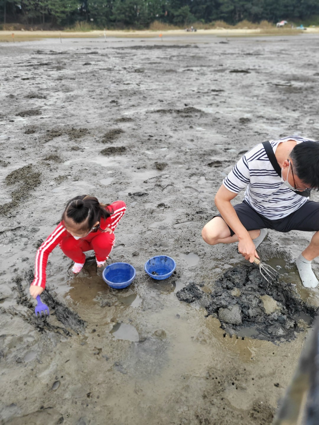 서천 갯벌체험&amp;#44; 모시조개 캐기 (서천송림갯벌체험장)