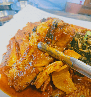 생방송 투데이 코다리찜 문어코다리찜 경기 용인