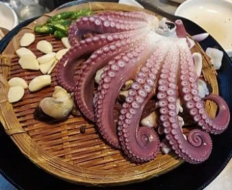 전현무계획2 문어숙회 수제비 골뱅이 맛집 위치 안내_5