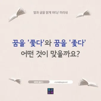 좇다 쫓다 맞춤법 맞는 표현 예문_7