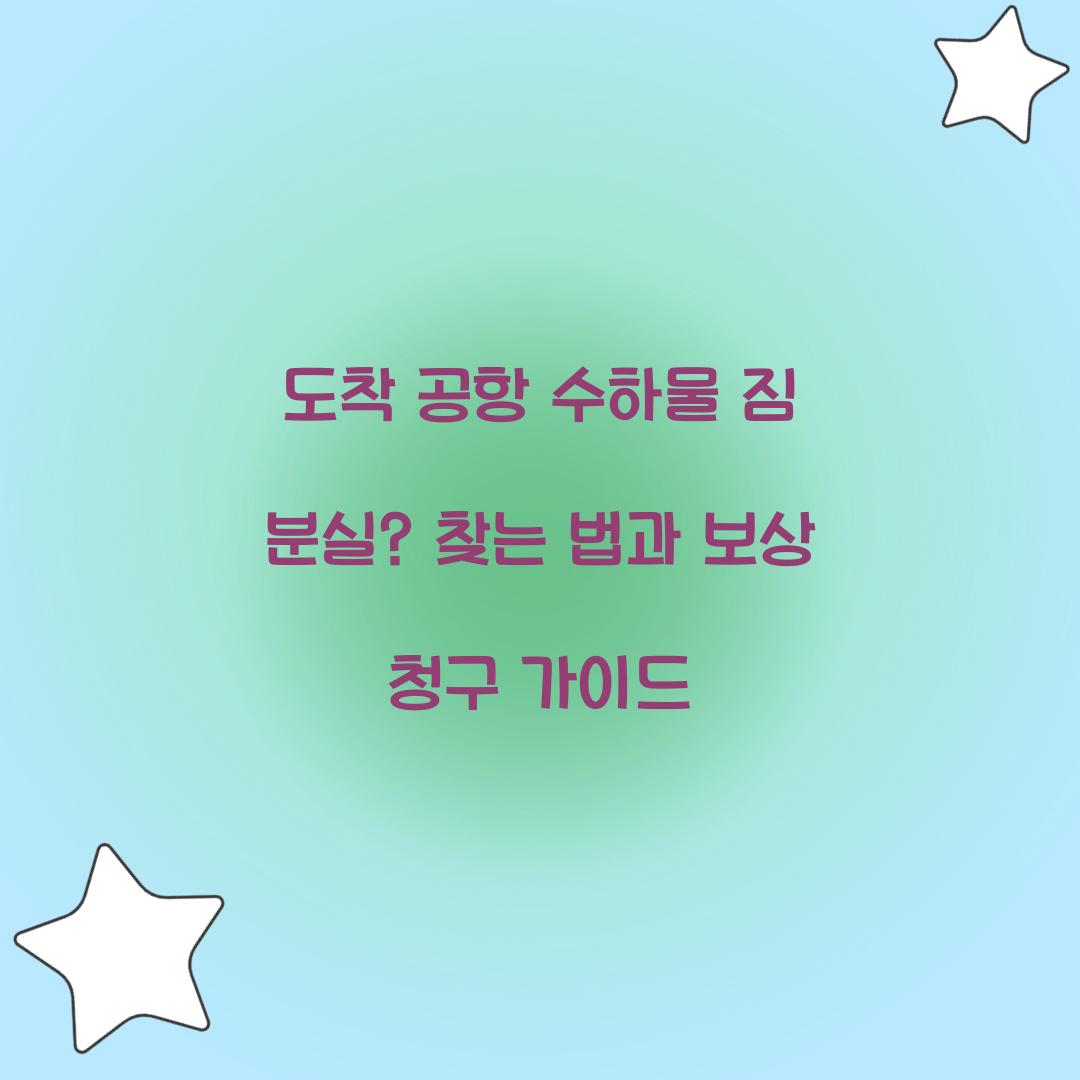 도착 공항 수하물 짐 분실