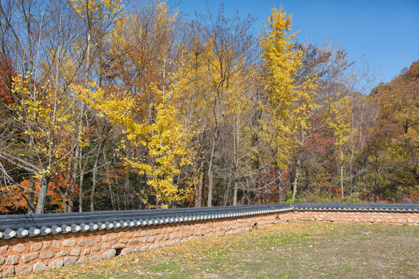가을에 떠나기 좋은 국내 여행지 추천