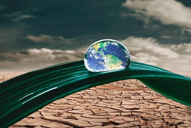 PX 추천 상품 인기상품 군마트 추천템 총정리 가이드_6