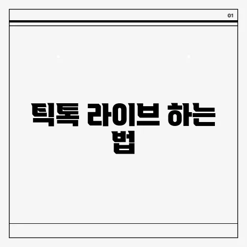 틱톡 라이브 하는 법