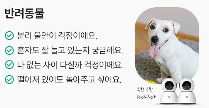 헤이홈 홈캠 사용 후기