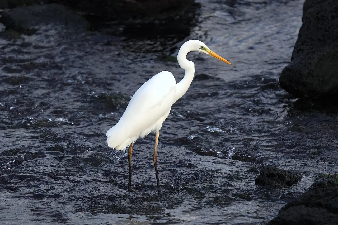 가을 제주도 가볼만한곳