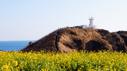 제주도 가볼만한곳 10곳