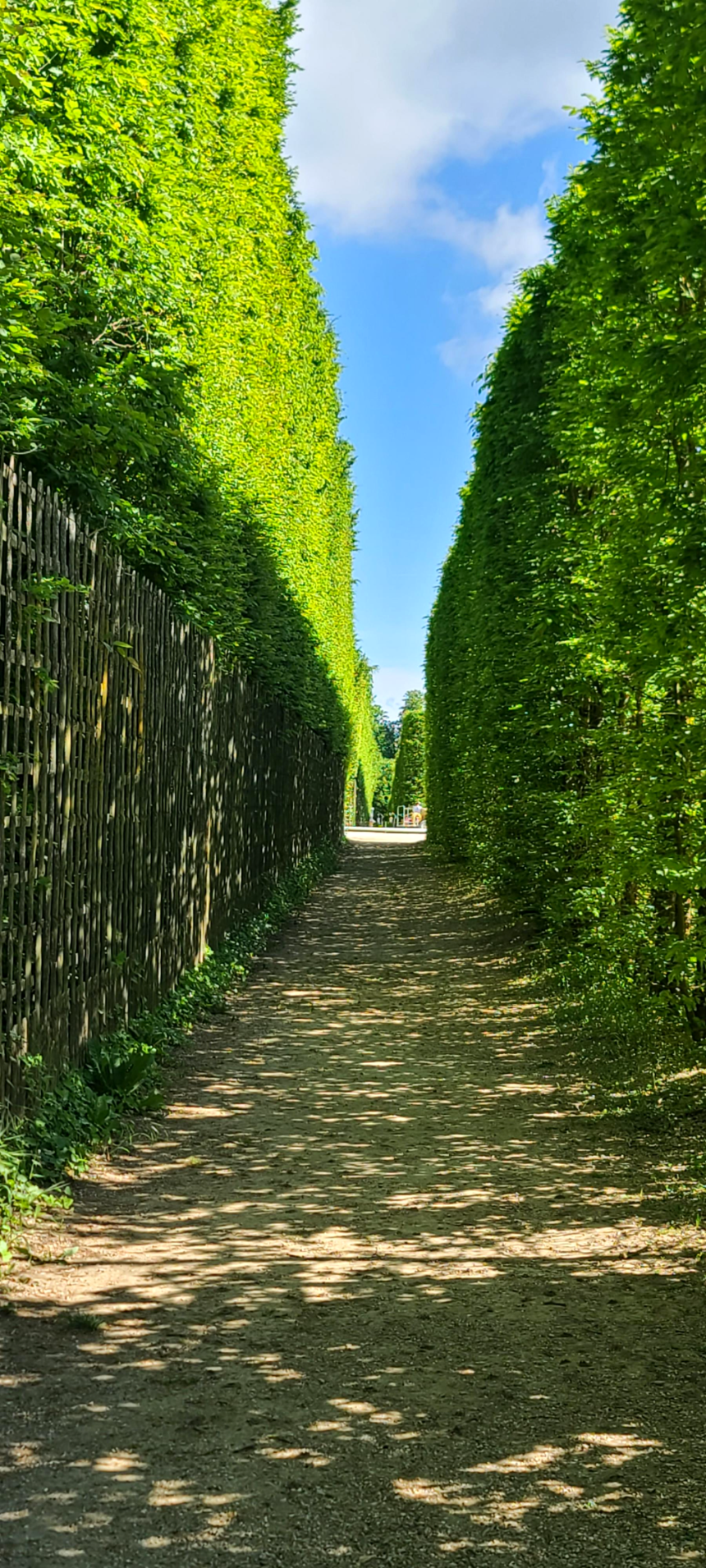 베르사유 궁전 밖 라토나분수 좌측 오렌지 정원 상세3