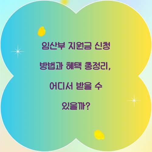 임산부 지원금